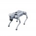 Робот-собака со встроенным AI. Unitree Go2 0